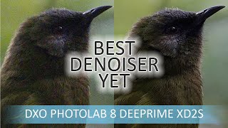 DxO PhotoLab 8 Elite  Noise Reduction Tested and Compared [upl. by Eniluj]