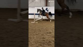 saddleseat aaddle saddleseat horse saddleseat rider JUMPING [upl. by Daitzman]