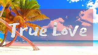 True Love Lyrics [upl. by Ahsemrak]