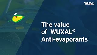 The value of WUXAL Antievaporants [upl. by Yrennalf]