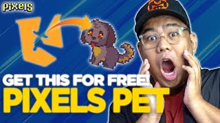 FREE PET IN PIXELS EARN ALLIANCE CAMPAIGN FIL [upl. by Tati]