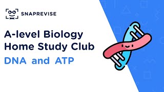 Home Study Club Alevel Biology  DNA and ATP [upl. by Clayborne]