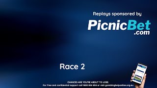 Race 2 Healesville 23rd March 2024 [upl. by Rokach414]