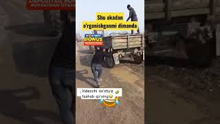 VIDEOCHI DOSTIZGA TASHAB QOYING😂rekomendasikomik rekchiq youtubeshorts tiktok reels 1mln top [upl. by Kendrah426]