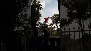 VIDEO MENGIBARKAN BENDERA [upl. by Ayrotal]