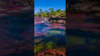 Caño Cristales – the river of 5 colors [upl. by Orthman583]