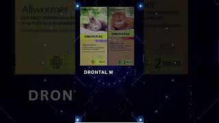 Drontal Wormer for Cats  Buy Drontal All Wormer Tablets Online  Vetsupply [upl. by Marlene]