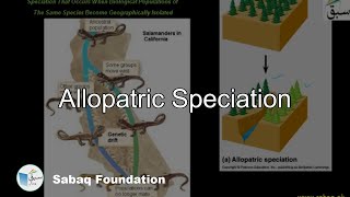 Allopatric Speciation Biology Lecture  Sabaqpk [upl. by Assiron]