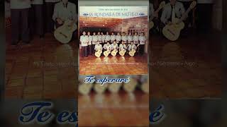 Te esperaré  La Rondalla de Saltillo larondalladesaltillo rondalla [upl. by Villada366]