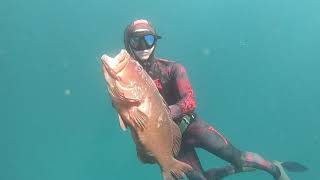 Spearfishing Geraldton amp The Abrolhos Islands  Part 3 [upl. by Souvaine]