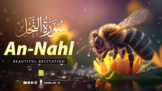 Surah An Nahl سورة النحل Best Quran recitation in the world  BEAUTIFUL VOICE  Zikrullah TV [upl. by Nawor]