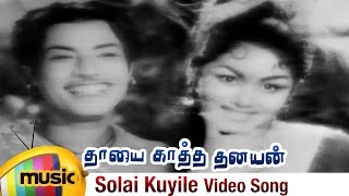 Mahajan Petra Mainthan Tamil Movie Songs  Solai Kuyile Video Song  Kanta Rao  Krishna Kumari [upl. by Carrnan]