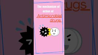 MECHANISM OF ACTION OF ANTIMICROBIAL DRUGS [upl. by Kerril887]