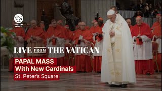 Papal Mass with the New Cardinals LIVE from St Peter’s Square  LIVE [upl. by Enidanreb831]