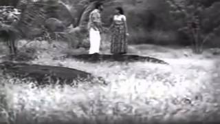 Marivillu Panthalitta  Theerthayathra1972 [upl. by Bunch92]