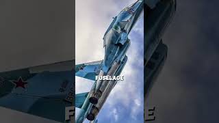 Why Do Russian Fighter Planes Look Strange russianjets trending 2025 [upl. by Farland]