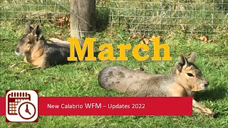 New Calabrio WFM formerly Teleopti  Whats New in March 2022 [upl. by Dilisio]