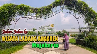 JalanJalan ke Wisata Ladang Anggrek Mojokerto [upl. by Best]