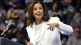 ‘Nobody voted for her’ Kamala Harris is an ‘installed candidate’ [upl. by Vic]