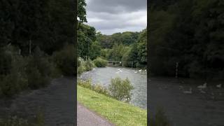 Gartmorn Damalloa scotland shortvideo [upl. by Ardnuaek]