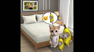 Baby Banana Cat 😺❤️ catmemes cat shorts fyp bananacat [upl. by Sundin]