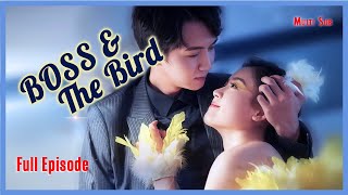 ENG SUB MULTI Episode Boss and the Bird  Episode 2 [upl. by Suirrad848]