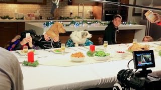 Freshpet Holiday Feast  Behind the Scenes [upl. by Trella996]