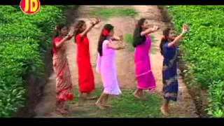 Phool Baganer Malini  Tushar Arjun  Barnali Kalita  Superhit Baganiya song Assam [upl. by Grissom555]