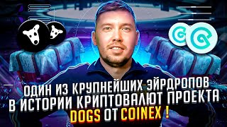 Один из крупнейших Эйрдропов в истории криптовалют проекта DOGS от CoinEx [upl. by Noryb]