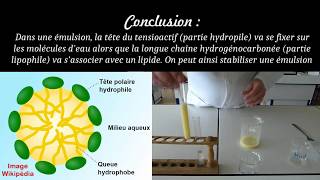 Emulsions et tensioactifs [upl. by Odla]