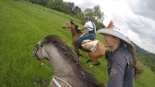 Epic horse galloping with GoPro by KristyM Ranch [upl. by Rust]