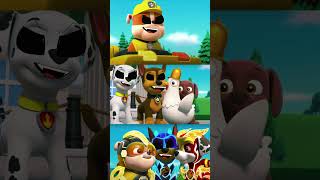 ✅❗️PAW Patrol❗️Rubble and Crew  ⚡️Monster How Should I Feel  ❗️Mighty Pups Animation fnaf memes [upl. by Cesare]