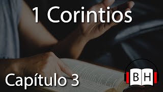 1 Corintios Capítulo 3  Biblia Hablada  Escuchar la voz de Dios [upl. by Cleaves]