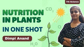 NUTRITION IN PLANTS  CLASS 7  ONE SHOT [upl. by Koss]