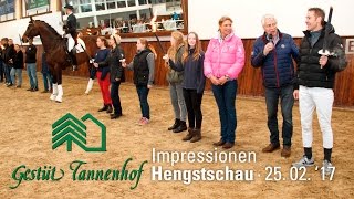 Gestüt Tannenhof Hengstschau 2017 [upl. by Noby]