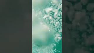 💚 Underwater real bubble sounds Water bubbles sound effect Underwater ambience to relax shorts [upl. by Ichabod]