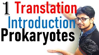 Translation in prokaryotes introduction  prokaryotic translation lecture 1 [upl. by Maillliw]