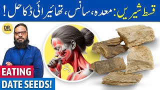 QusteShireen Ke FaydeIstemal  Costus Root Benefits  Dr Ibrahim [upl. by Anerys87]