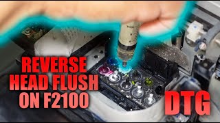 HOW TO UNCLOG YOUR EPSON F2100 DTG PRINTER AND DO A REVERSE HEAD FLUSH [upl. by Eilrahc]