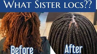 SisterLocs BoxPlaits ProtectiveStyle Box Braids over locs Process [upl. by Eenaej]