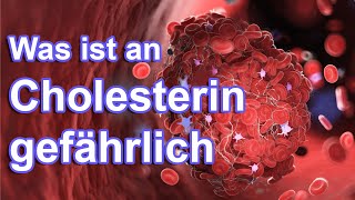 GR Cholesterin im Griff Natürliche Wege zur Senkung amp Vorbeugung [upl. by Herrick]