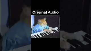 What he ACTUALLY played 🐱Keyboard Cat Legend shorts28 piano [upl. by Sidonie]