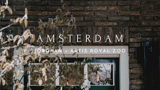 AMSTERDAM  JORDAAN amp ARTIS ROYAL ZOO [upl. by Eissej]