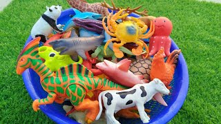 Sea Animal Toys Collection For Kids l Learn Animal Names l Sea Creature Toys [upl. by Tahpos]