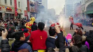 2019 Chinese New Years Celebration Washington DC [upl. by Clapper]