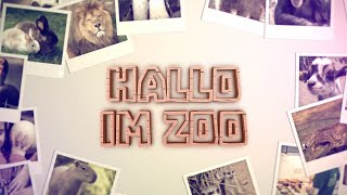 Hallo im Zoo die neue TierSerie aus dem Zoo Neuwied [upl. by Sualkin]