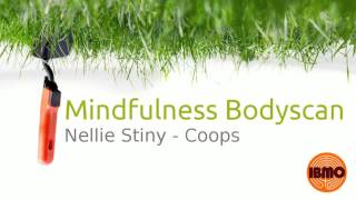 Bodyscan Meditatie Mindfulness [upl. by Chiarra474]