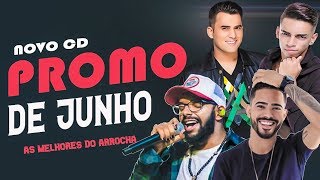 TOP 10 DO ARROCHA  AS MELHORES DE 2019  LANÇAMENTO MAIOJUNHO [upl. by Costa]