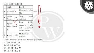 Match List I with List II\n\n\n\n\n\nList I\n\n\n\nList II\n\n\n\n\na\n\n\nTracheids\n\n\nI\n [upl. by Zelikow]