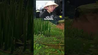 Asian Dad uses Invisibility on Fortnite Bik Wong [upl. by Trembly]